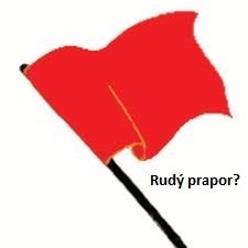 Pokud přijme naše společnost toto opatření, budu vědět, že nežiji v demokratickém státě, protože neplatí ani právní řád, ani žádné zásady a vracíme se pod rudé prapory...